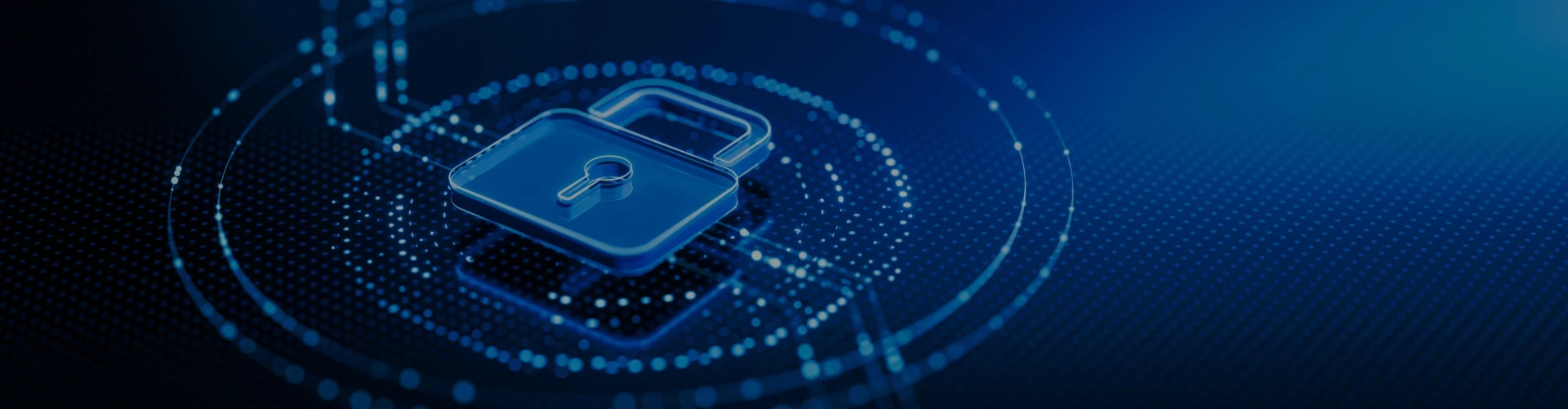 Cybersecurity and Data Privacy