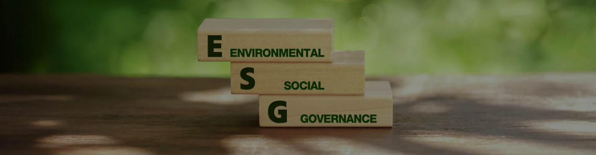 Sustainability Strategy and Framework and Sustainability Governance Structure