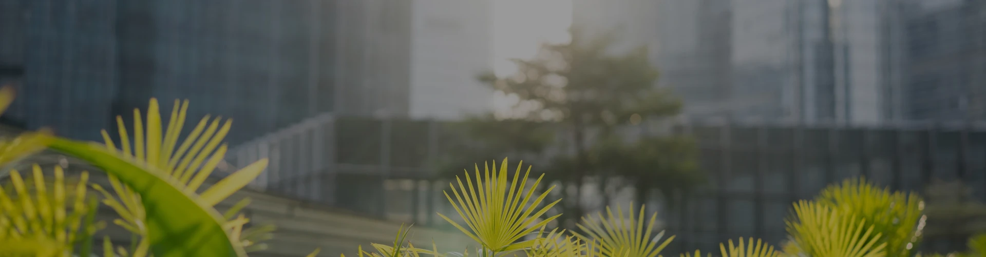 Sustainability Vision and Commitment and Message from the Chairman