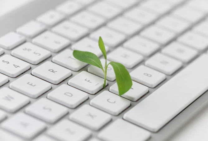 Reporting and Disclosure