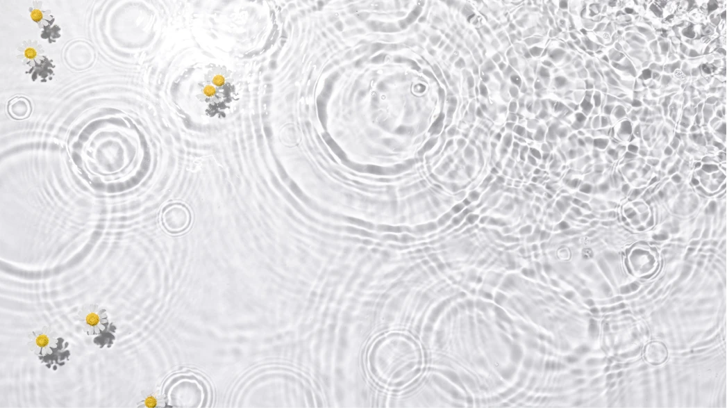 Rainwater Management within the Project (Zero Discharge)