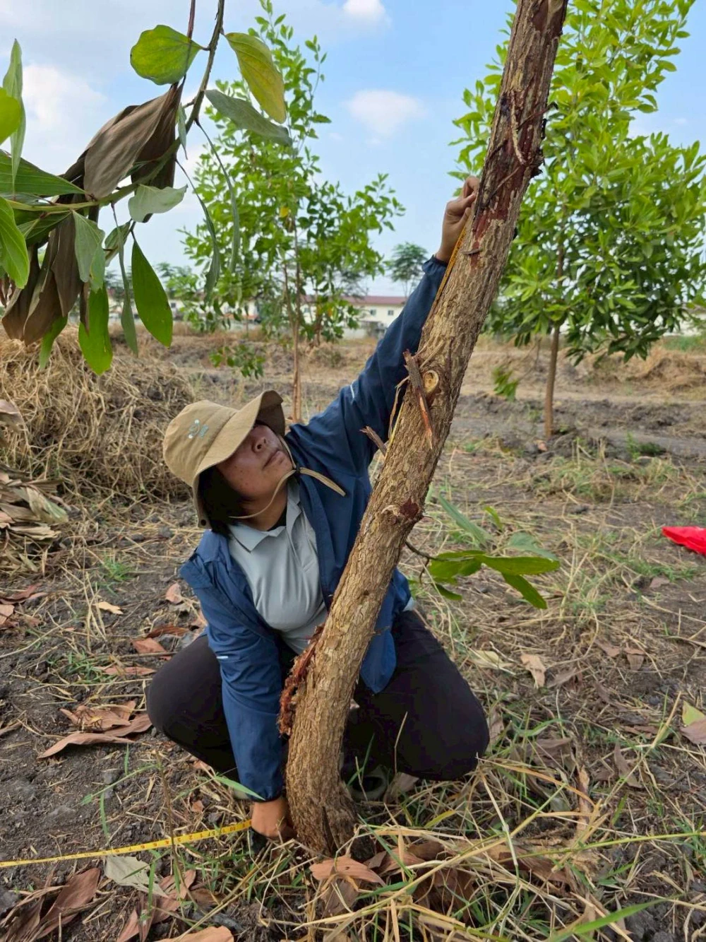 Biodiversity Management and Nature-Related Risk Assessment