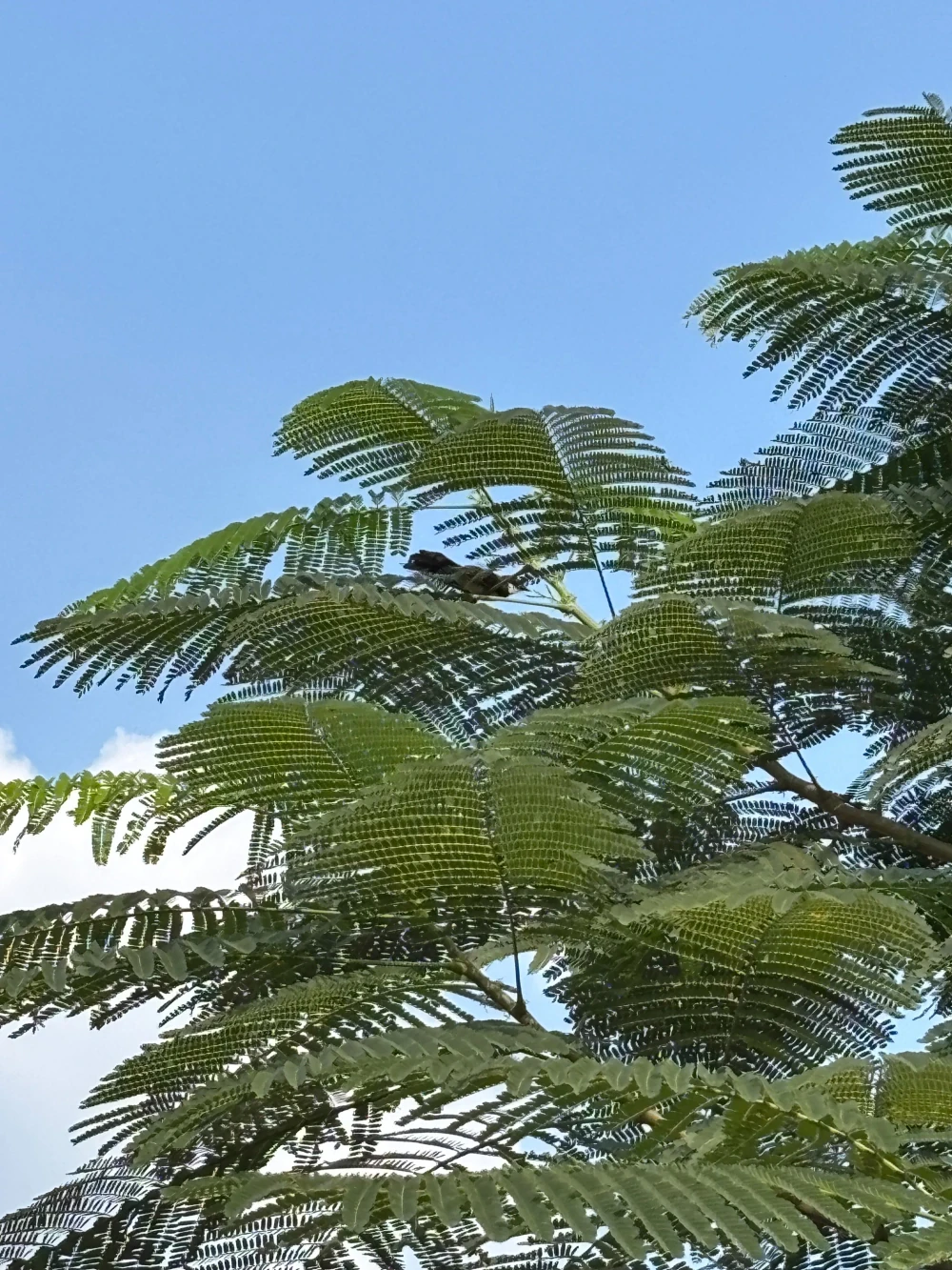 Biodiversity Management and Nature-Related Risk Assessment