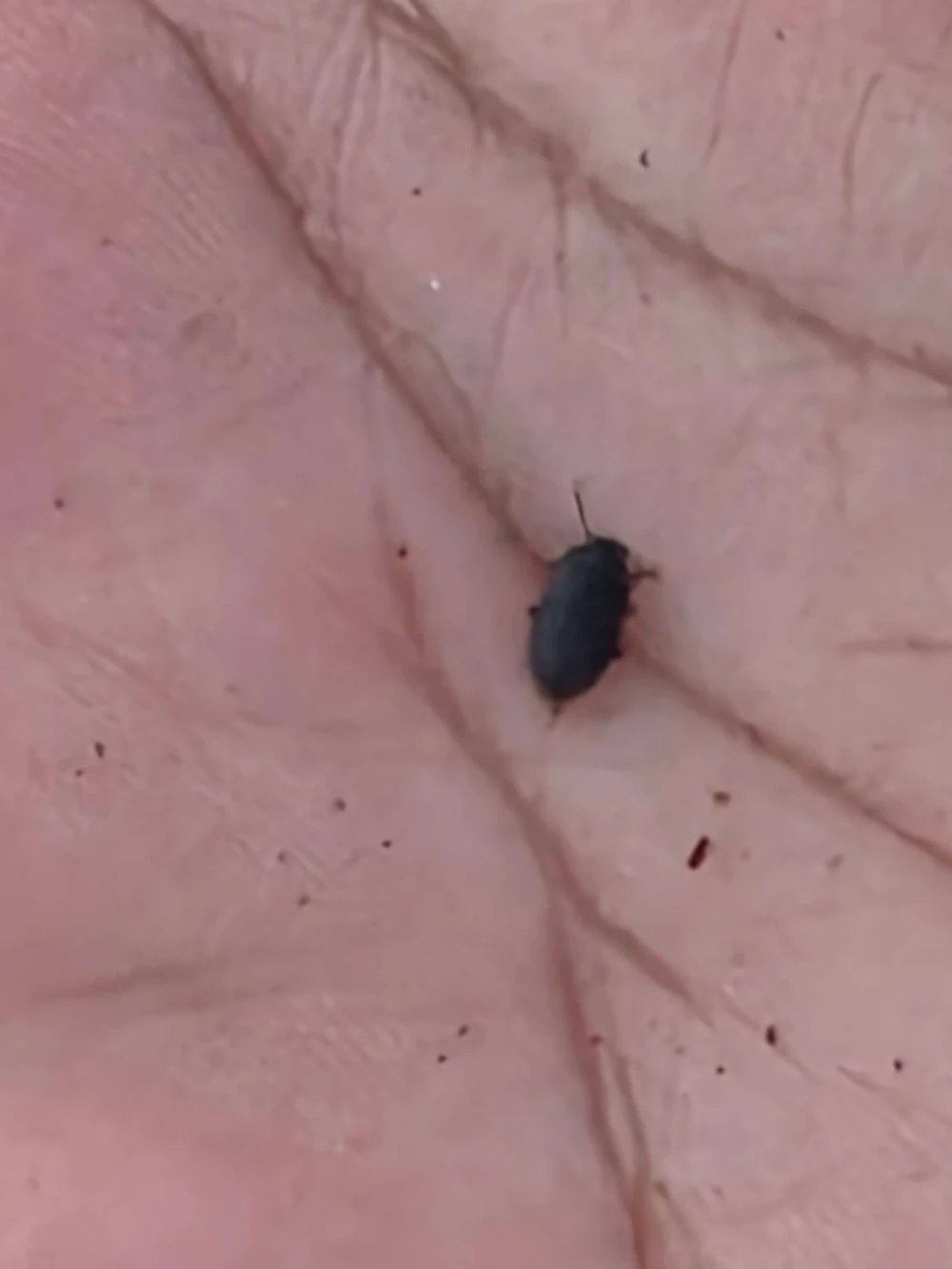 Biodiversity Management and Nature-Related Risk Assessment