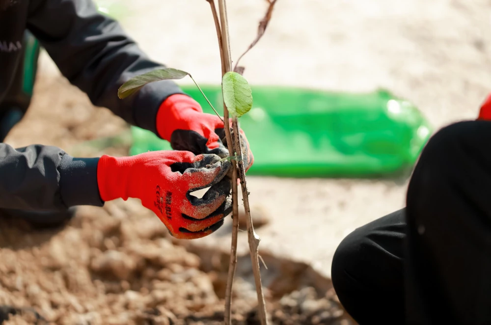 Forest of Happiness’ activity for Supalai’s 35th Anniversary, in 2024, in Pathum Thani and Prachuap Khiri Khan provinces