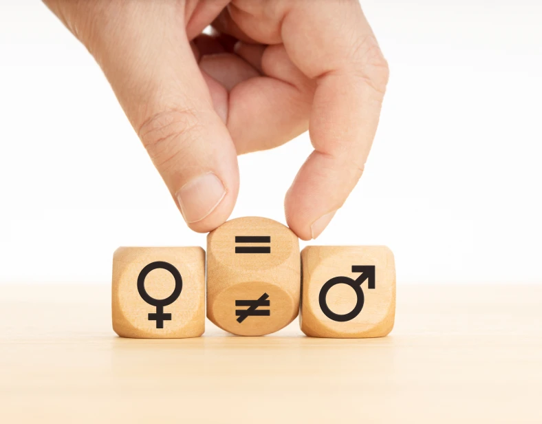 Policy and Guidelines on the Promotion of Gender Equality and Women&rsquo;s Rights